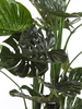 Sztuczna Monstera dziurawa deliciosa wysoka 195 cm d80 cm duże liście