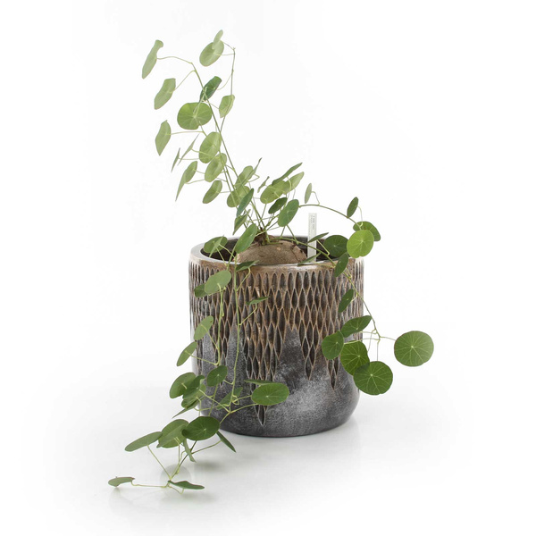 UNIVERSE COMET CYLINDER 23/22 doniczka cylindryczna ręcznie zdobiona brązowa