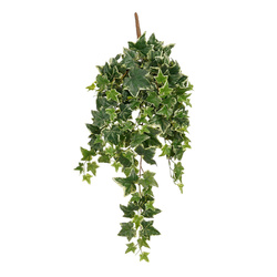 Sztuczny bluszcz 80 cm zielono-biały UV