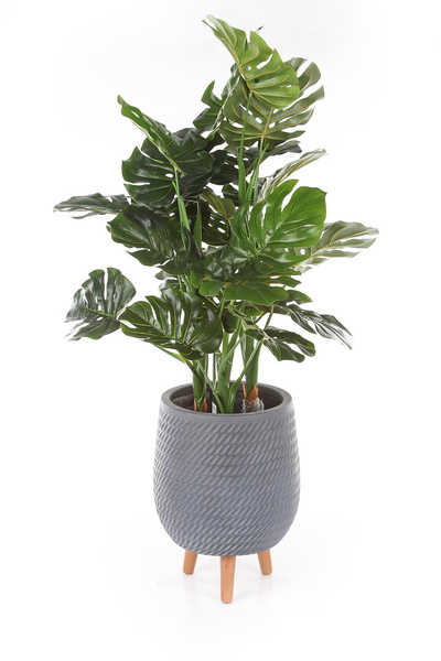 CORDA 22/32 szara osłonka na drewnianych nóżkach