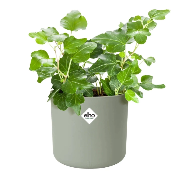 B. For Soft Round 18 cylindryczna osłonka zielona stone green