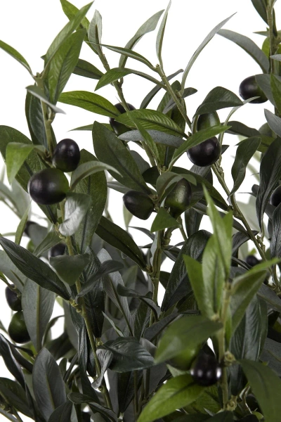 Sztuczna Oliwka 155 cm na grubym pniu deluxe