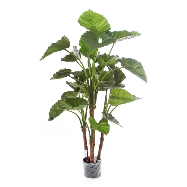 Sztuczna Alokazja Calidora 125 cm deluxe