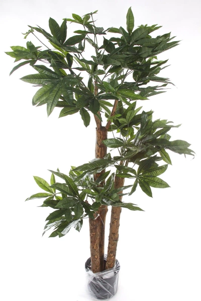 Sztuczna Pachira 175 cm d85 cm