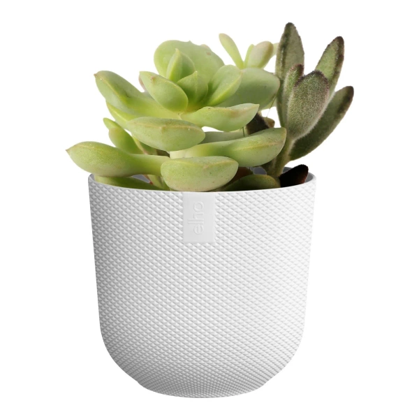 Jazz Elho 7 mini osłonka na kaktusy biała silky white