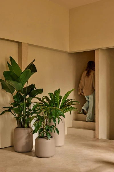 Amber Beads Medium 39/48 beżowa designerska donica do domu