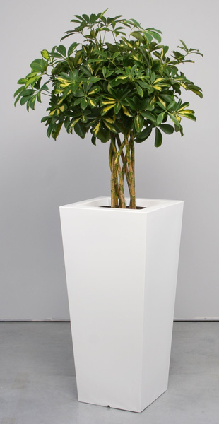 KIAM GLOSS 30x30/67 donica kwadratowa wysoka biała półpołysk