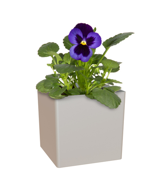 OSLO 22x22/22 doniczka kwadratowa kubik szara