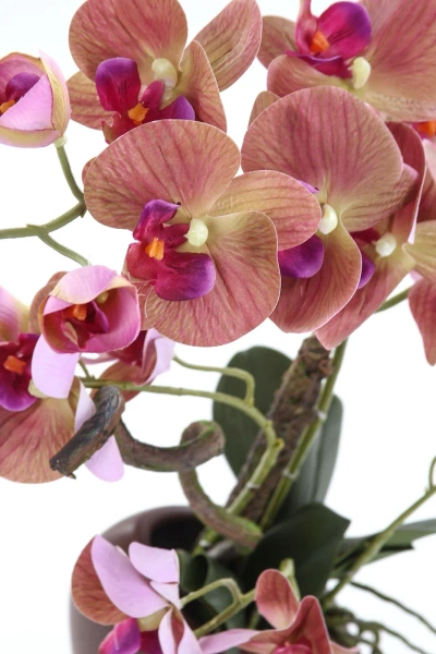 Sztuczny Phalenopsis liliowy 70 cm w brązowej donicy