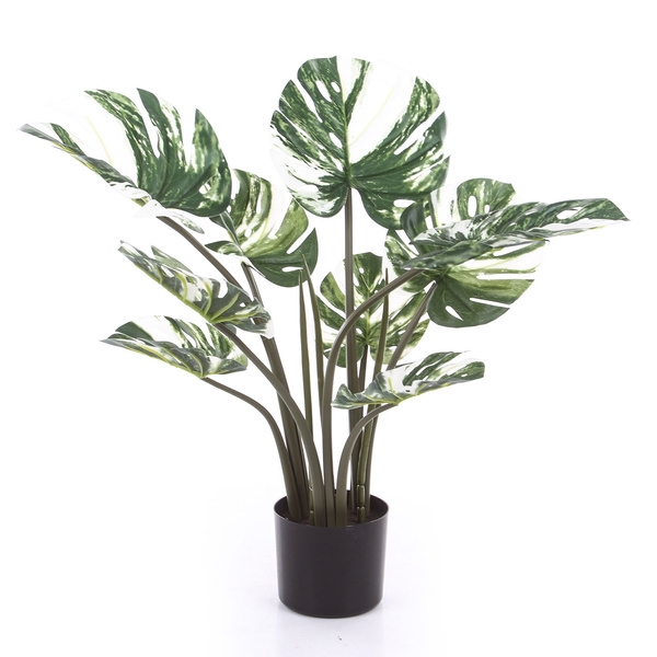 Sztuczna Monstera Variegata dziurawa biała 60 cm