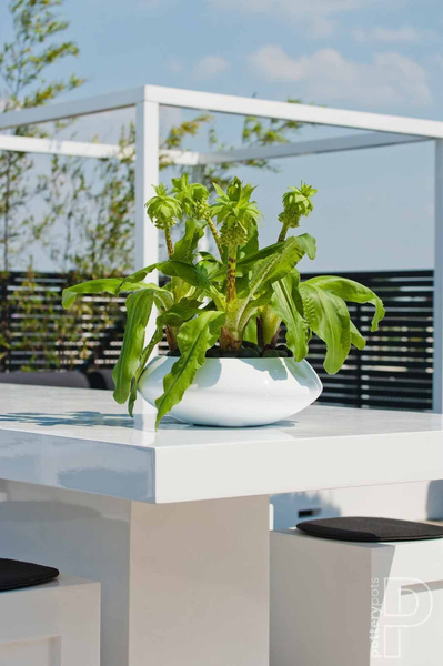 Tara XS 30/12 płaska osłonka biała połysk