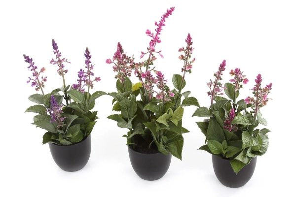 Sztuczna szałwia różowa 28 cm w doniczce