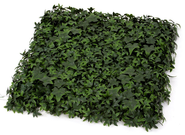 Sztuczna zielona ściana Hedera Bluszcz mata 50x50 UV wodoodporna
