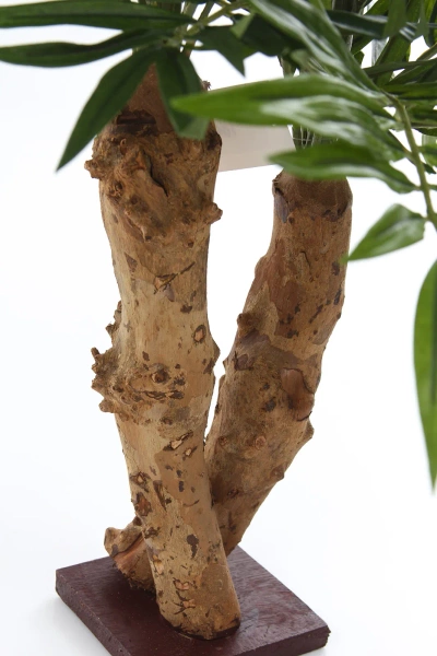 Sztuczna Palma Chamedora na drewnianym pniu 65 cm