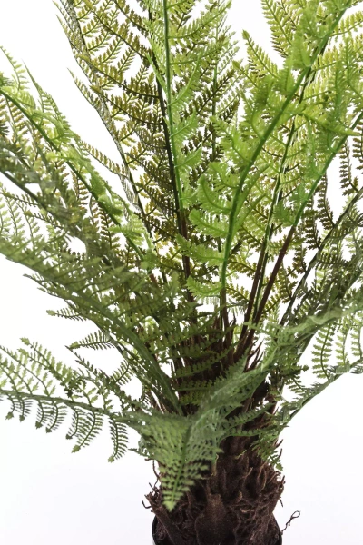 Sztuczna paproć drzewiasta Dicksonia 115 cm 21 liści