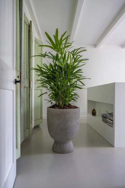 Jola High L 53/68 kamienna donica szarobrązowa dioryt