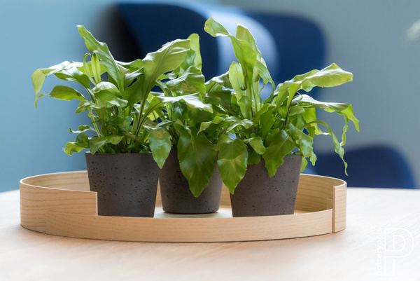 Mini Bucket L 23/20 czarna kamienna doniczka