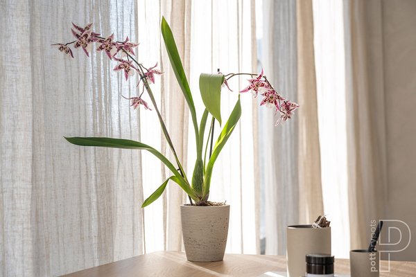 Gerben S 12/13 osłonka kamienna wysoka czarna