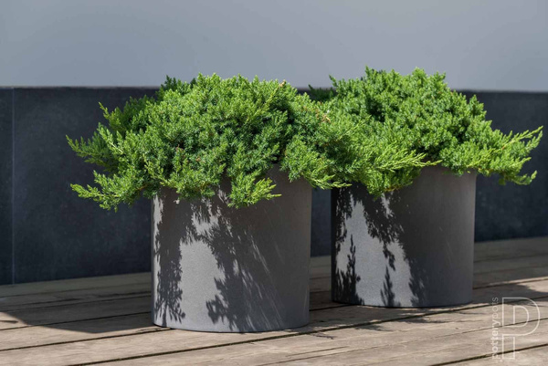 Max S 30/30 doniczka cylindryczna szara