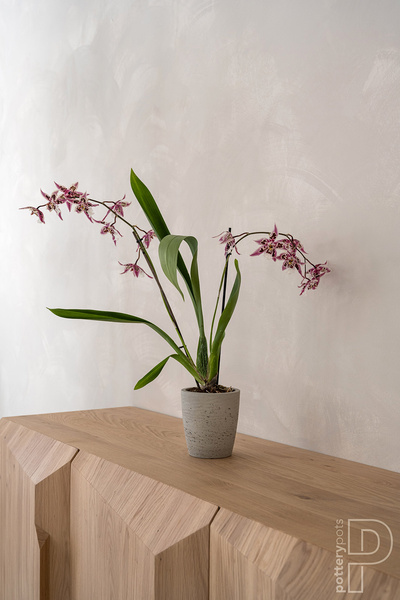 Gerben S 12/13 osłonka kamienna wysoka szara