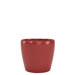 NUBIA 10 czerwona osłonka na kaktusy