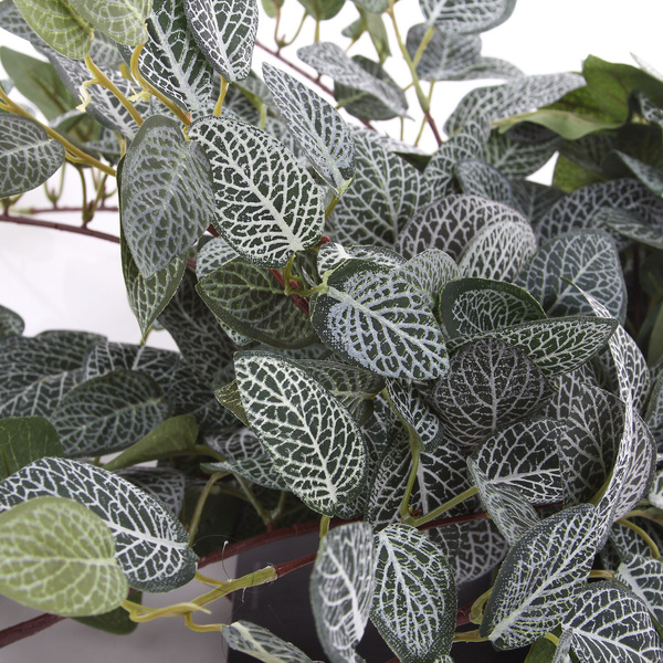 Sztuczna Pilea pnącze 70 cm