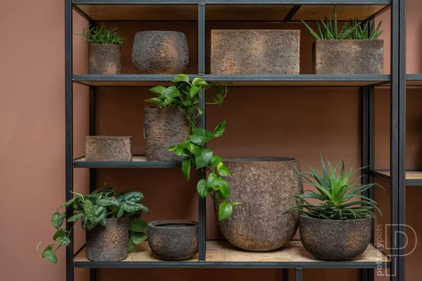 Fleur S 15x15/15 osłonka brązowa ostryga