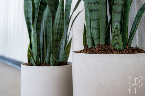 PUK M 20/20 kamienna doniczka cylindryczna szara