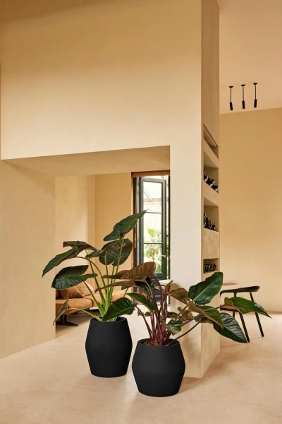 June Split Low 46/42 niska czarna osłonka designerska