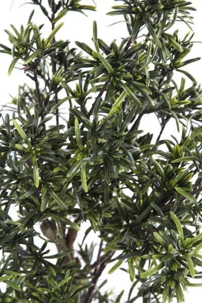 Sztuczny Cis japoński 85 cm