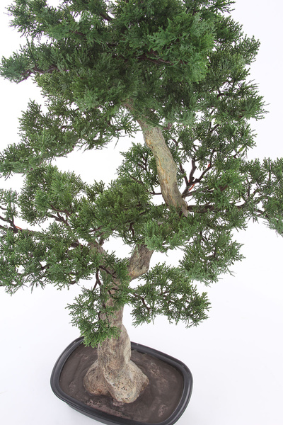 Sztuczny Bonsai Pinia 80x110 cm