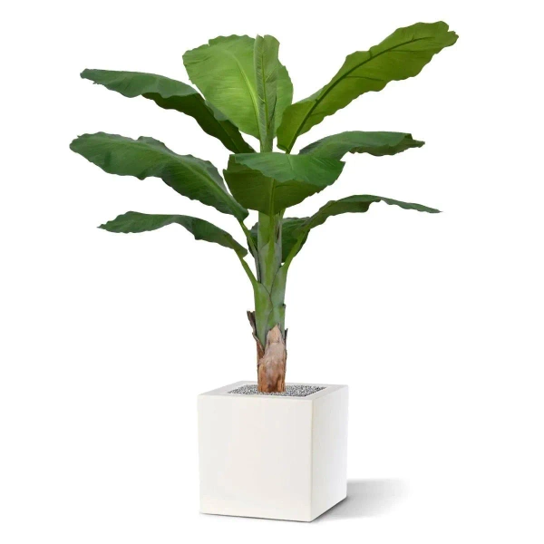 Sztuczny Bananowiec 165 cm