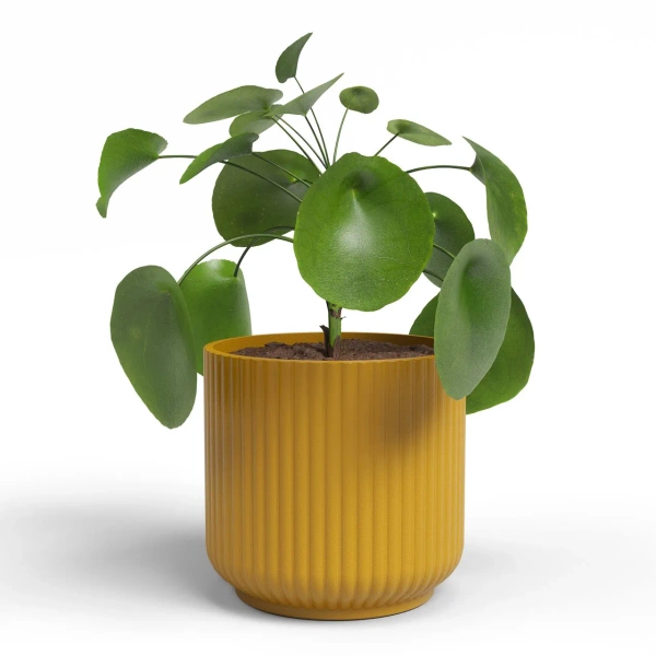 Luna 13/12 ceramiczna osłonka żółta ryflowana