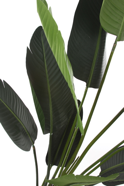 Sztuczna strelicja 190 cm 13 dużych liści