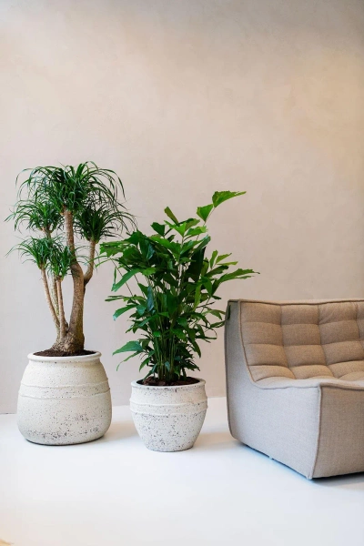 Hestia S 32/28 donica kamienna grecki wzór