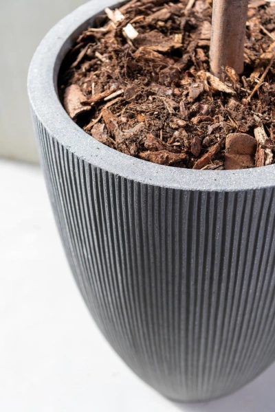 Ben L 40/55 jasnoszara donica kamienna prążkowana