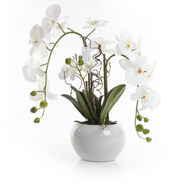Sztuczny storczyk Phalenopsis 55 cm biały w białej ceramicznej doniczce