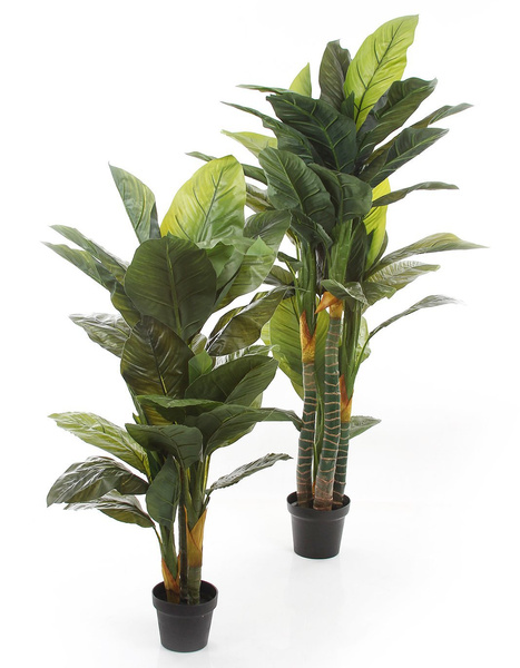 Sztuczny skrzydłokwiat spathiphyllum 130 cm 28 liści