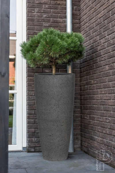 Dax L 37/80 donica kamienna wysoka taupe