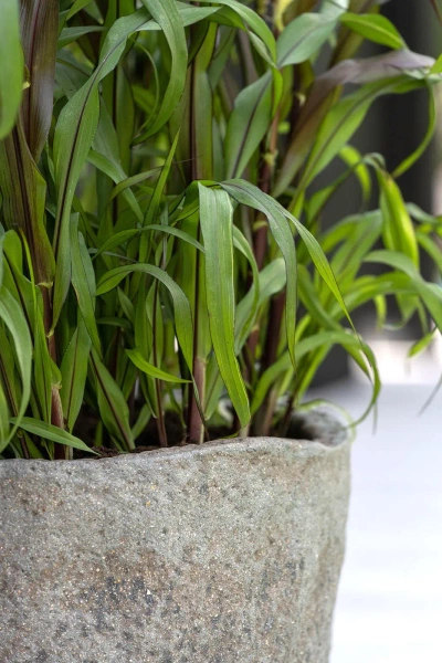 Mt. Russell L 51/44 kamienna duża donica dioryt szarobrązowa