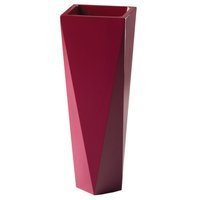 purpura tyryjska lakierowana