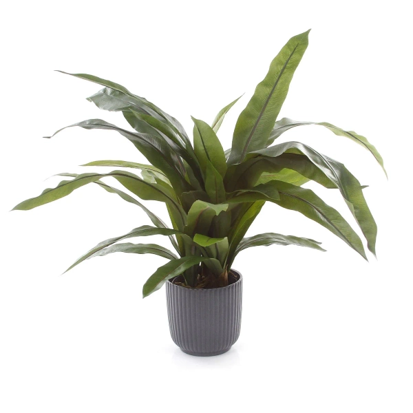 Sztuczne Asplenium paproć 80 cm 33 liście