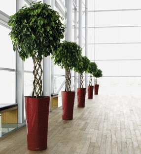 LECHUZA DELTA 15/26 doniczka wysoka brązowa metalik