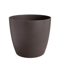 brązowy / espresso brown