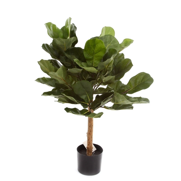 Sztuczny Fikus Dębolistny Lyrata 75 cm deluxe