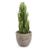 Sztuczny Kaktus Euphorbia Trigona 64 cm