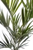 Sztuczna palma Kentia 110 cm