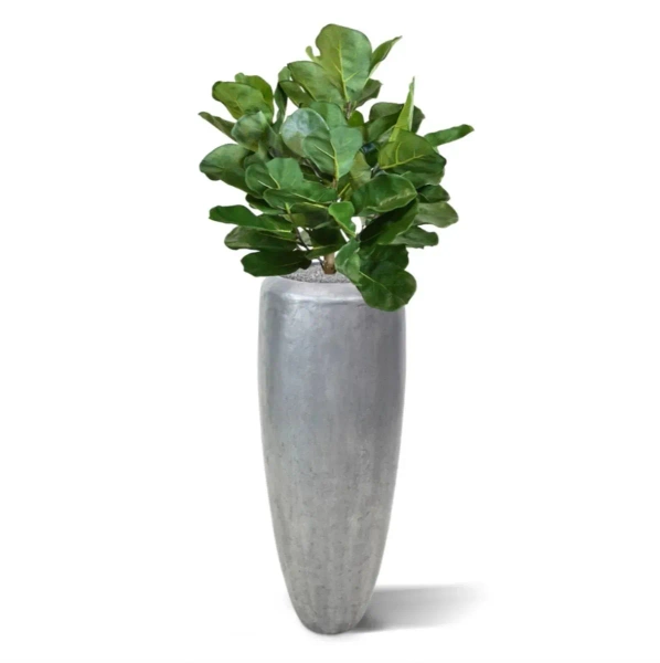 Sztuczny Fikus Dębolistny Lyrata 75 cm deluxe