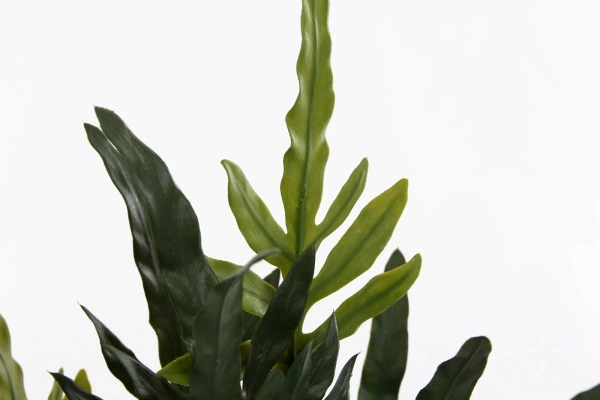 Sztuczna paproć blue fern phlebodium 53 cm w doniczce