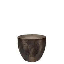 Jesslyn XS 42/36 osłonka naturalna ostryga brązowa